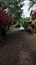 costa-rica-17-02.jpg