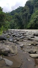 fluss-pacuare-lodge.jpg