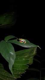 costa-rica-17-260.jpg
